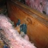 Thumbnail image for You Want to Remove a Load Bearing Wall?