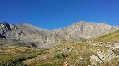 EV Grays Torreys