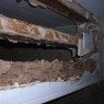 Structural Engineering Field Service Inspections Termites