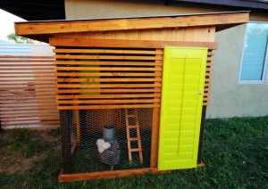 Structural Engineering Chicken Coop