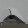 Structural Engineering Cut Post Tension
