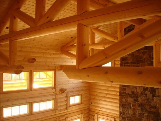 Architecture Residential Custom Honka