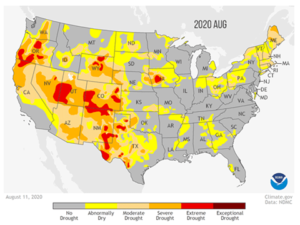 August 2020 Draught Map