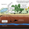 Carbon Sequestration Explained Courtesy of UKCCS