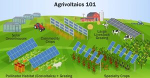 Agrivoltaics Illustration Courtesy of NREL