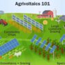 Agrivoltaics Illustration Courtesy of NREL