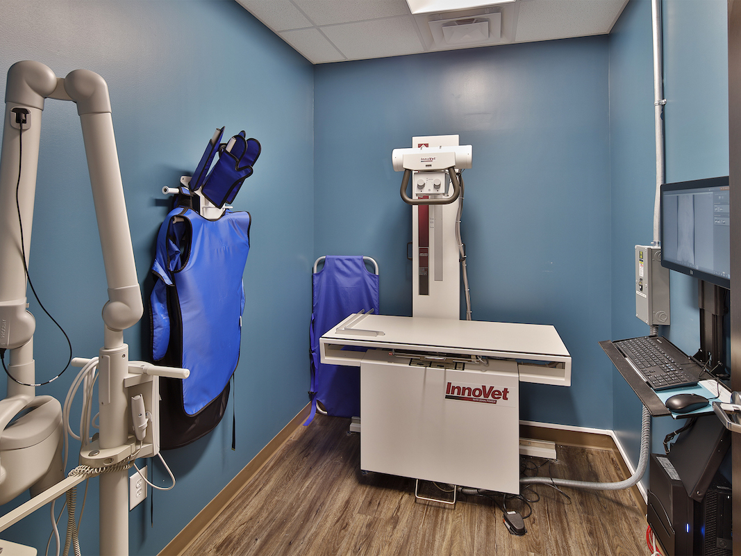 Veterinary X-Ray Room
